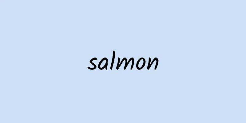 salmon