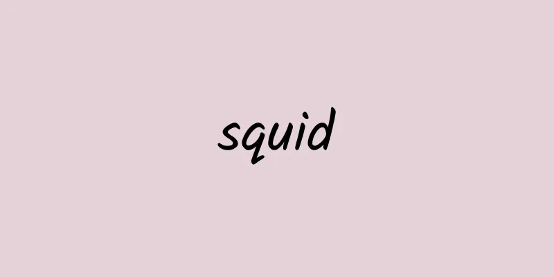 squid