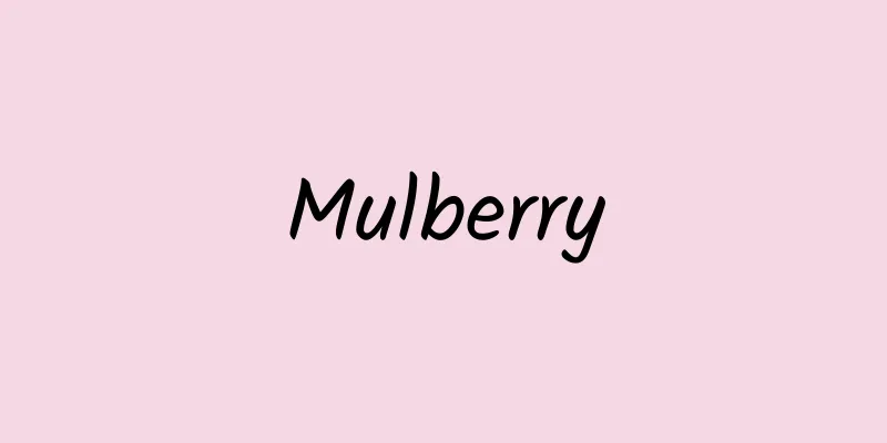 Mulberry