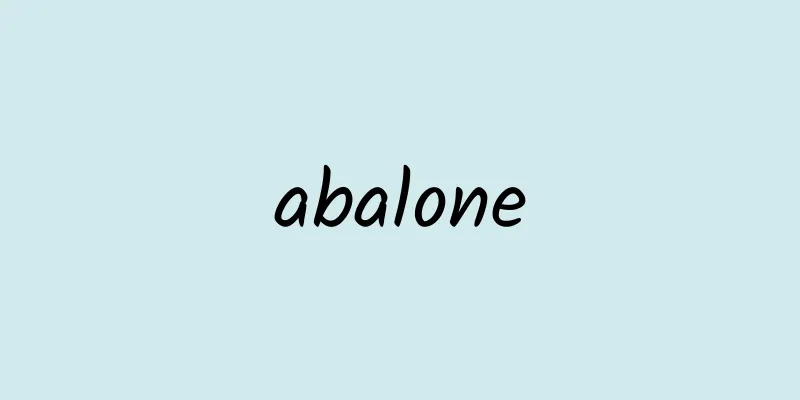 abalone