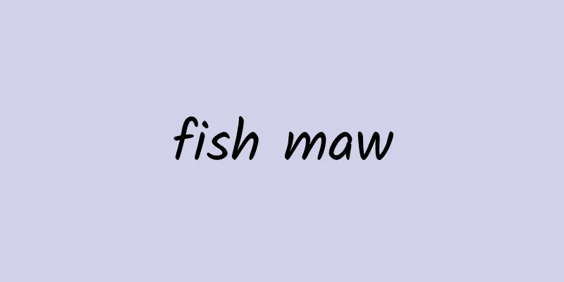 fish maw