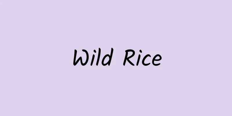 Wild Rice