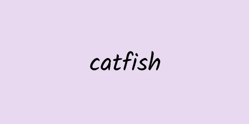 catfish