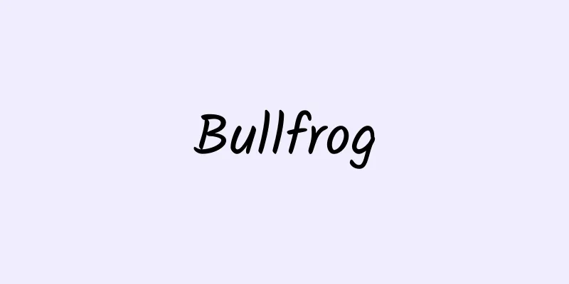 Bullfrog