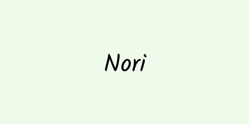 Nori