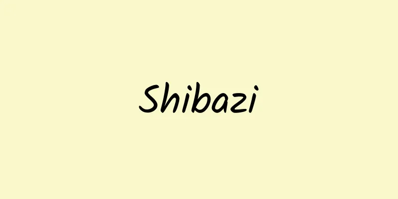 Shibazi