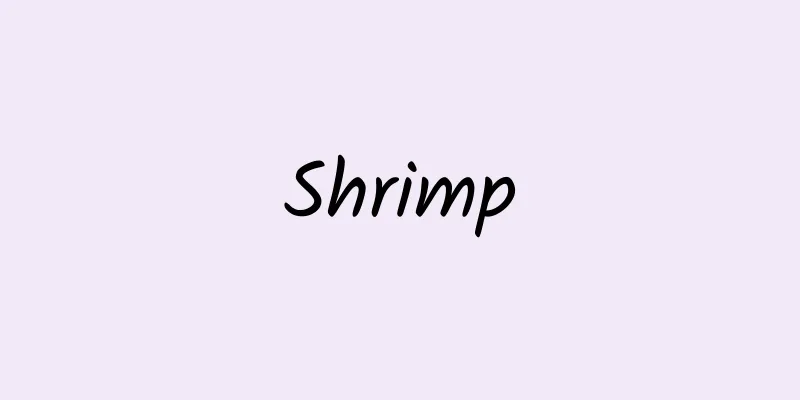 Shrimp