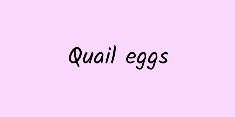 Quail eggs