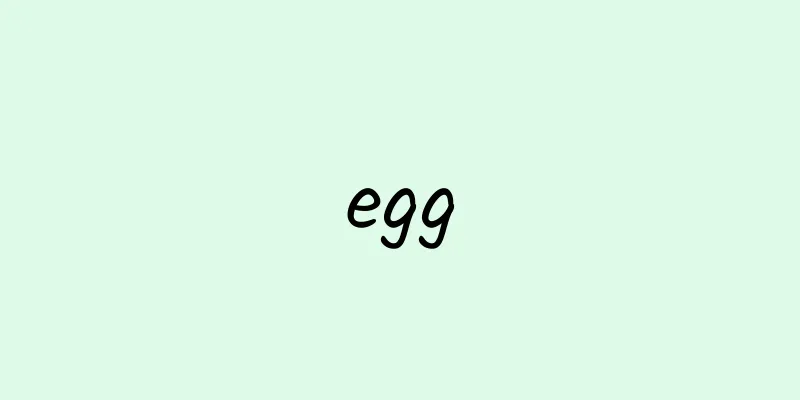 egg