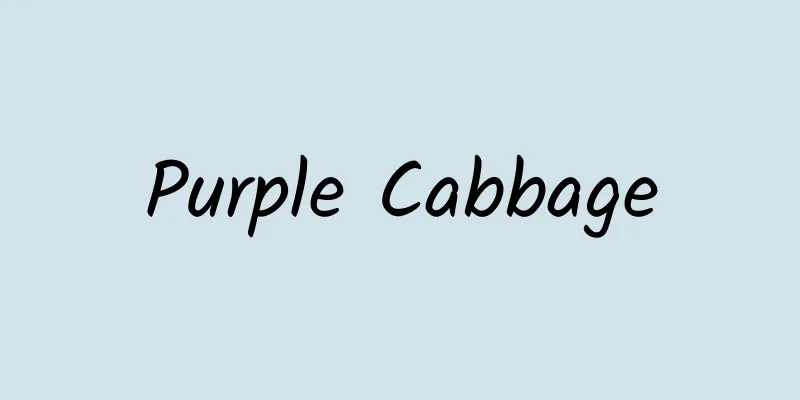 Purple Cabbage