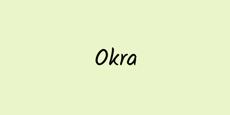 Okra