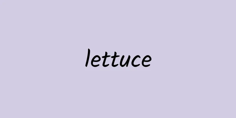 lettuce