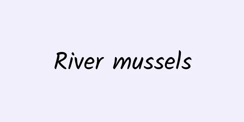 River mussels