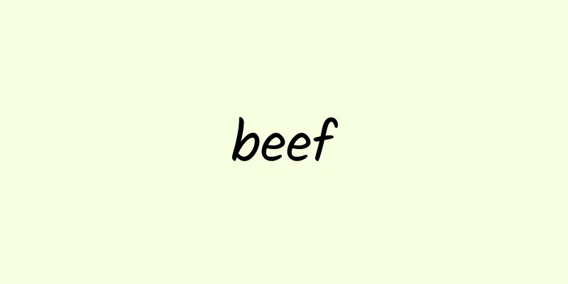 beef