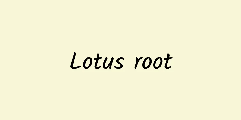 Lotus root