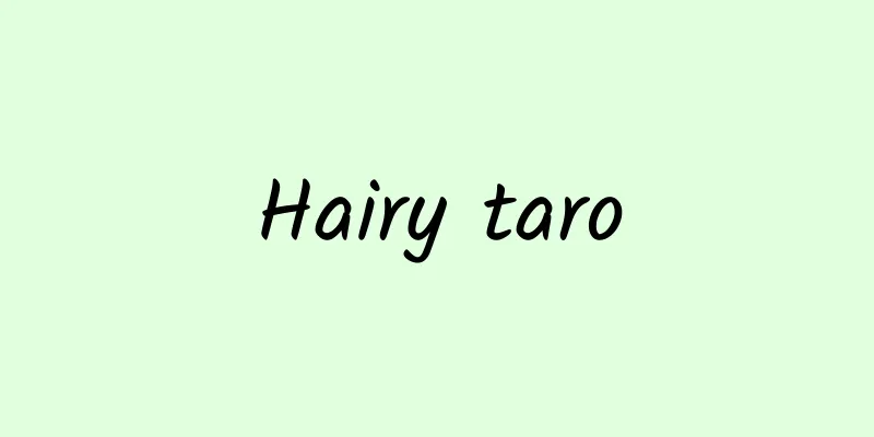 Hairy taro