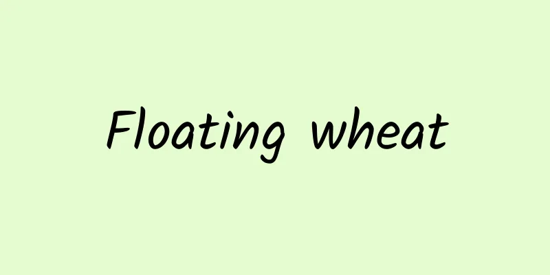 Floating wheat