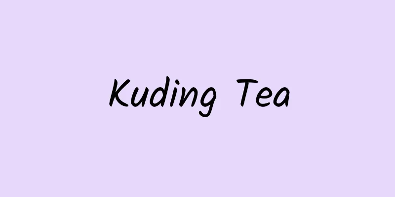 Kuding Tea