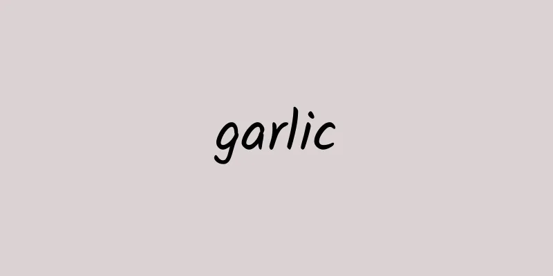 garlic