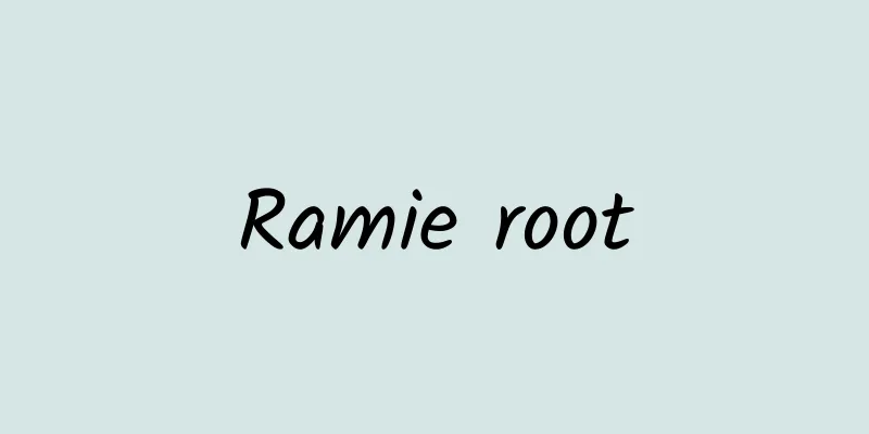 Ramie root