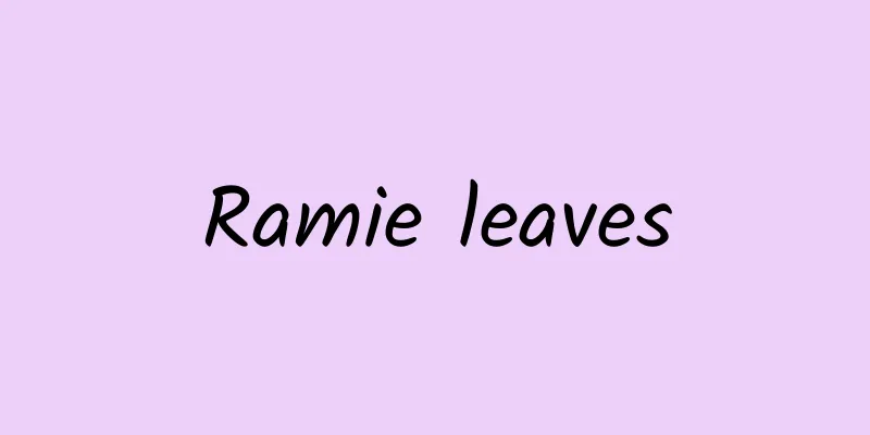 Ramie leaves