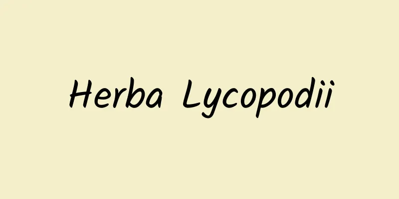 Herba Lycopodii