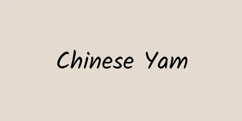 Chinese Yam