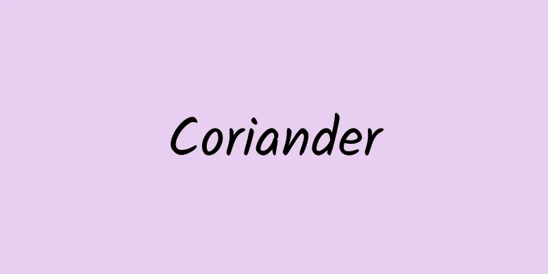 Coriander