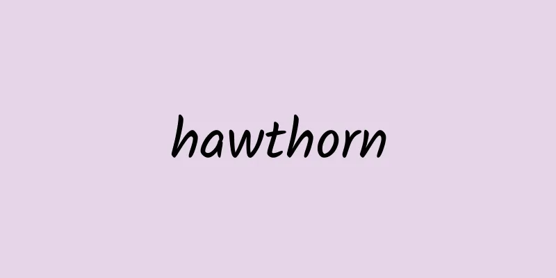 hawthorn