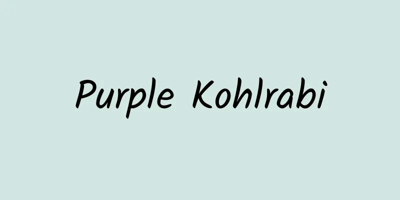 Purple Kohlrabi