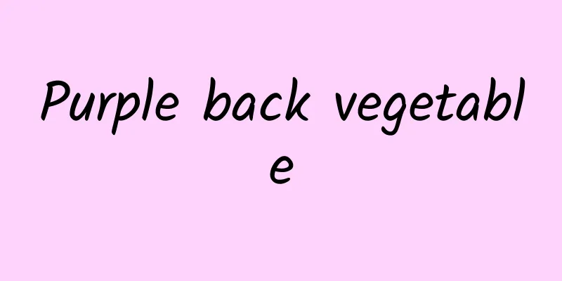 Purple back vegetable