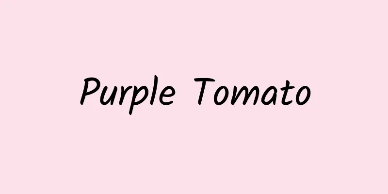 Purple Tomato