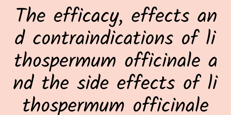 The efficacy, effects and contraindications of lithospermum officinale and the side effects of lithospermum officinale