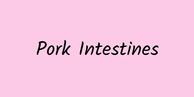 Pork Intestines