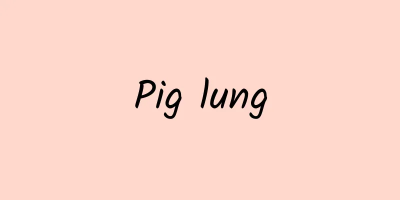 Pig lung