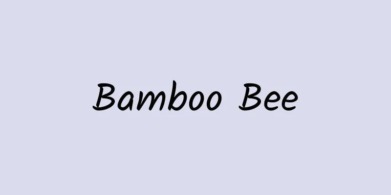 Bamboo Bee