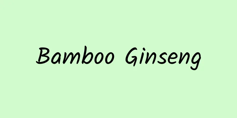 Bamboo Ginseng