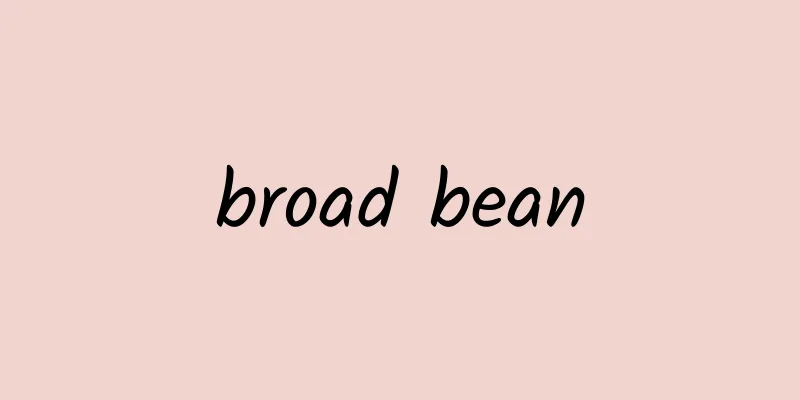 broad bean