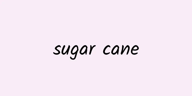 sugar cane