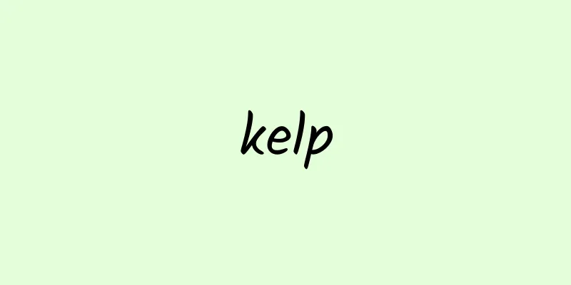 kelp