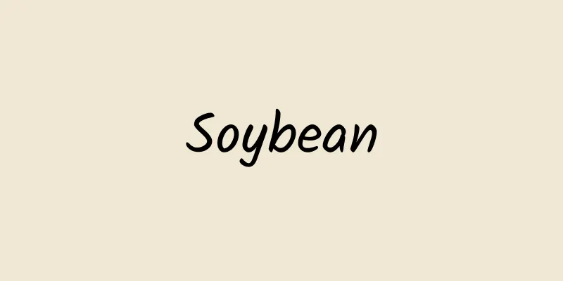 Soybean