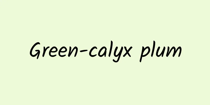 Green-calyx plum