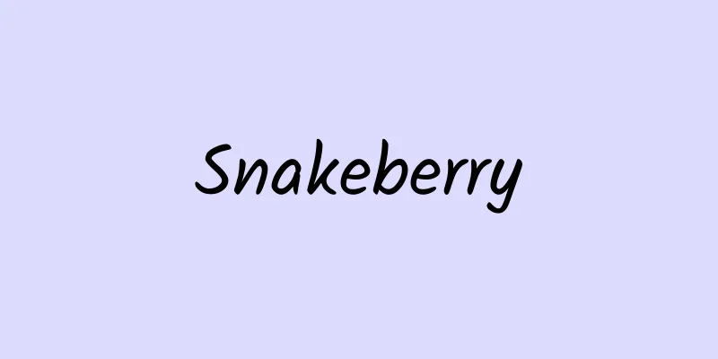 Snakeberry