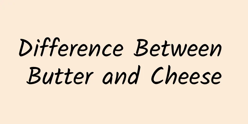 Difference Between Butter and Cheese