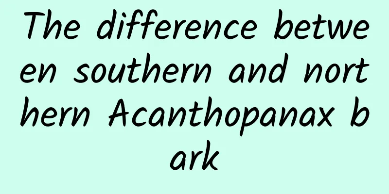 The difference between southern and northern Acanthopanax bark