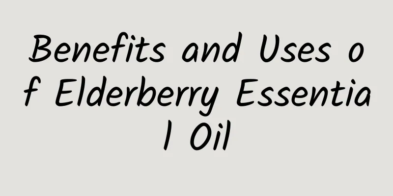 Benefits and Uses of Elderberry Essential Oil