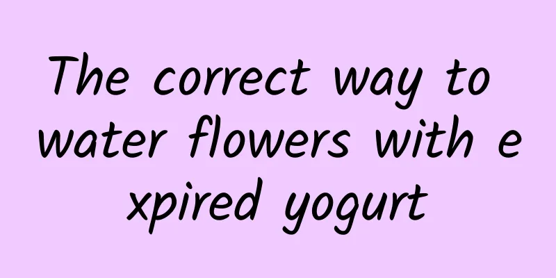 The correct way to water flowers with expired yogurt