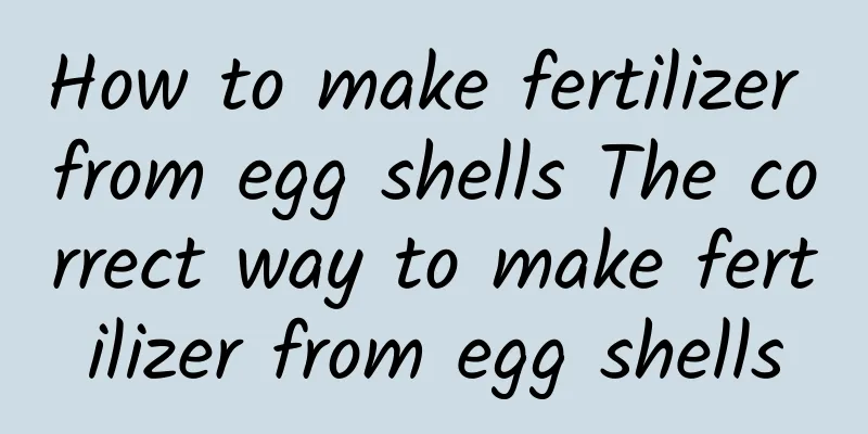 How to make fertilizer from egg shells The correct way to make fertilizer from egg shells