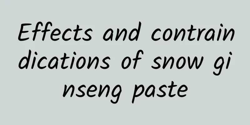 Effects and contraindications of snow ginseng paste