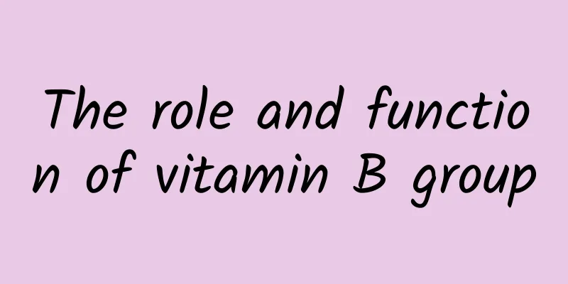 The role and function of vitamin B group